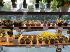 -中国石化北苑路加油站