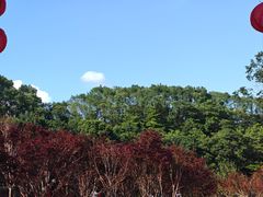 -广州市帽峰山景区