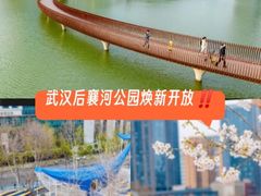 -后襄河公园
