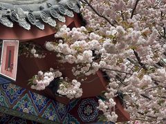 -石岛赤山风景区