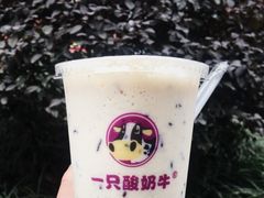 -一只酸奶牛(八一路店)