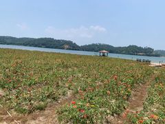 -桂山风景旅游区