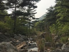 -无染寺