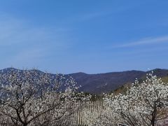 -香山公园