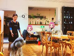 -沏点Trattoria意大利餐厅(新街口店)