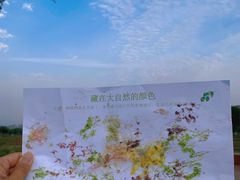 -汉长安城未央宫国家考古遗址公园