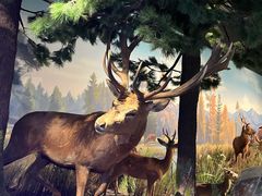 -陕西自然博物馆