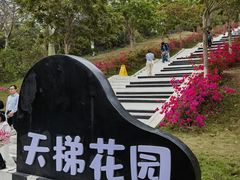-盈香心动乐园