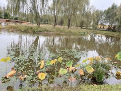 -东郊湿地公园