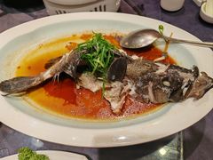 石斑鱼-琼菜王(南海店)