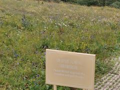 -白草畔自然风景区