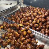 传说媲美台北路顶流的板栗🌰？？？