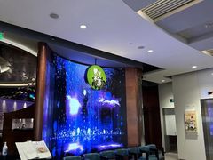 -映水芙蓉(长宁来福士店)