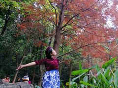 -云溪植物园
