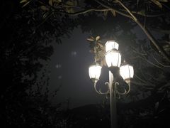 -石燕湖生态旅游景区