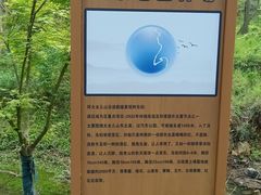-南京老山国家森林公园