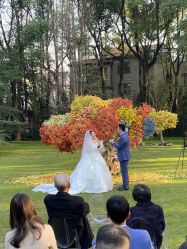 -禧趣婚礼