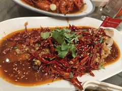 -杨氏青龙虾·羊蝎子(珠江路店)
