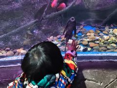 -梦幻海洋王国(吾悦广场张家港店)