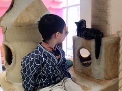 -藏猫猫咖啡主题馆(中央大道店)