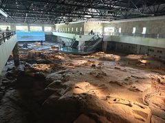 -自贡恐龙博物馆