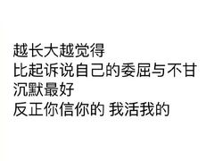 -白洋淀景区