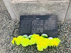 -侵华日军南京大屠杀遇难同胞纪念馆