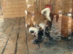 -武汉紫薇都市田园