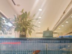 -谭三娘鲜切牛肉自助火锅(九眼桥总店)