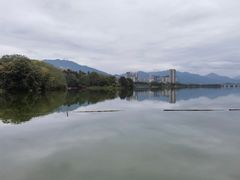 -飞来湖湿地公园