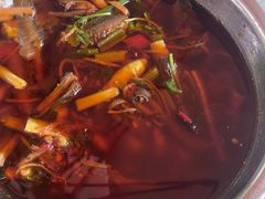 -高坎一品甲鱼庄(两河店)