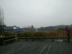 -白鹭湾湿地公园