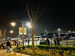 -迪士尼乐园停车场
