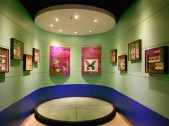 -上海昆虫博物馆