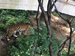 -哈尔滨北方森林动物园