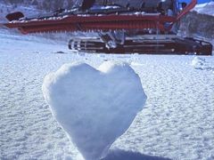 -中旅松花湖滑雪场