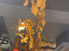 -湘村小灶·地道长沙菜·本地人优选(万家丽路店)