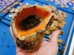 白灼大海螺-北塘海鲜·天津菜(大光明桥旗舰店)