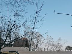 -巴倒烫陆派火锅山庄(南山总店)