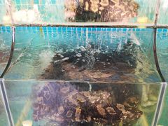 -范饭椰林川湘味海鲜·椰子鸡(三亚湾椰梦长廊店)