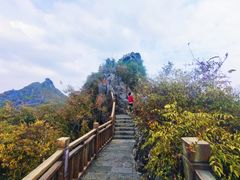 -南宁花花大世界景区