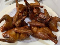 -鸽鸟轩(石岐店)