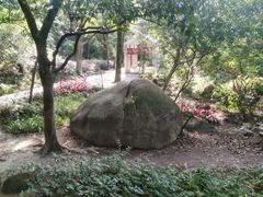 -火炉山森林公园