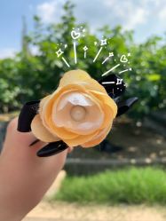 -太湖雪蚕桑文化园
