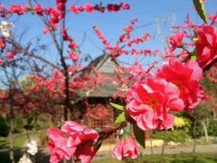 -广东花都香草世界旅游度假区