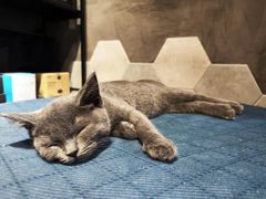 -IN COFFEE LAB 隐咖啡