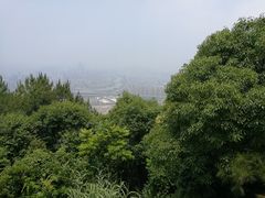 -旗山国家森林公园