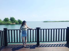 -太湖湖滨国家湿地公园-停车场