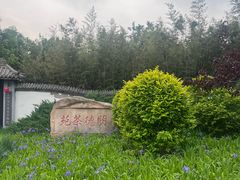 -北京凤凰岭