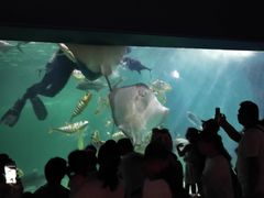 -常州海昌海洋探索馆